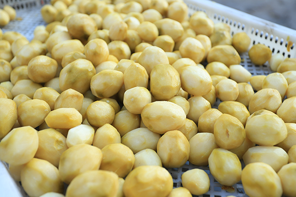 Potato Chips Production Line for Raw Potato Pretreatment