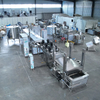 Meat Product Frying Line