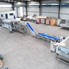 Radish Strips Cleaning And Drying Production Line