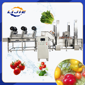 Strawberry Washing Pipeline