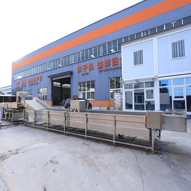 Fully Automatic Sweet Potato Brush Roller Cleaning And Drying Line