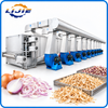 Onion multi-layer belt dryer for continuous dehydration
