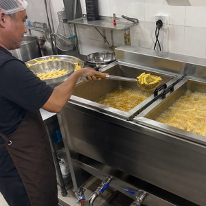 Twin Basket Fryer