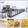 Continuous banana chips frying machine with oil filter