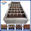 Fresh chestnuts feeding into brush roller washing machine conveyor