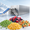 Industrial Automatic IQF Fluidized Bed Quick Freezer for Vegetables And Fruits