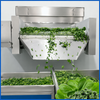 Industrial Automatic IQF Fluidized Bed Quick Freezer for Vegetables And Fruits