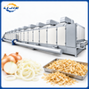 Continuous onion belt dryer with hot air circulation