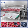Industrial Automatic IQF Fluidized Bed Quick Freezer for Vegetables And Fruits
