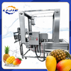 Tropical Fruit Bubble Washer for Mango & Pineapple