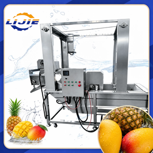 Tropical Fruit Bubble Washer for Mango & Pineapple