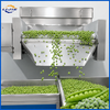 Industrial Automatic IQF Fluidized Bed Quick Freezer for Vegetables And Fruits